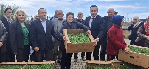 DÜNYA ÇİFÇİLER GÜNÜ KAPSAMINDA FİDAN DAĞITIMI ETKİNLİĞİ DÜZENLENDİ